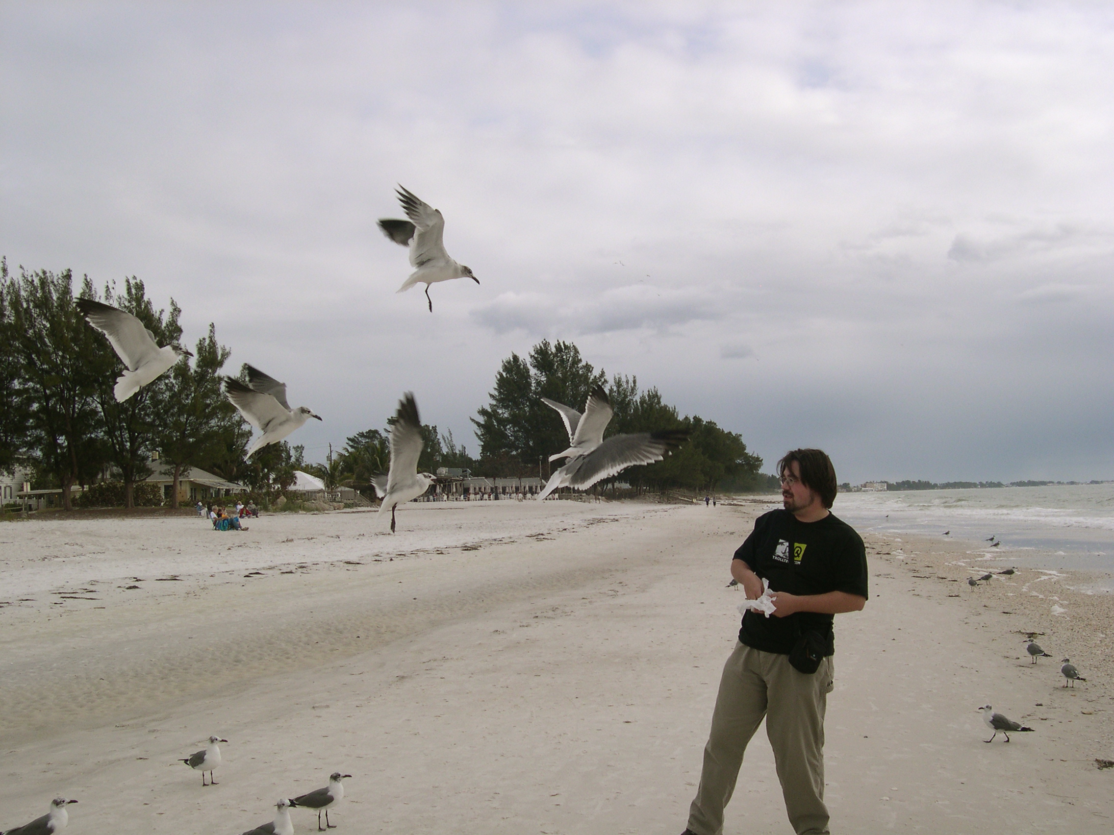 ben feeding the birds (2)