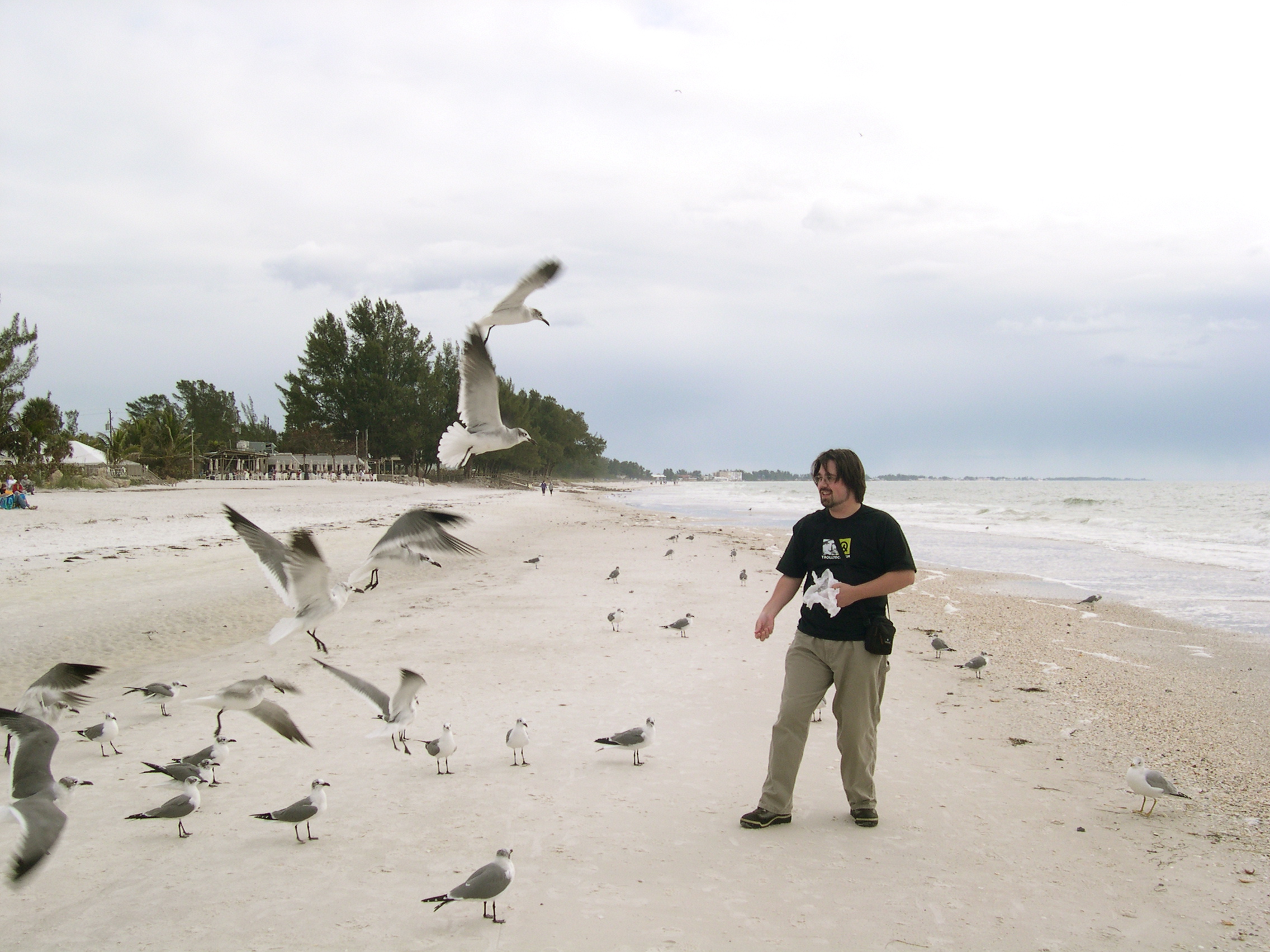 ben feeding the birds (3)
