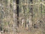 IMG_3499