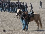IMG_3520