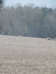 IMG_3531