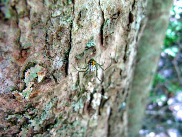 IMG_4272