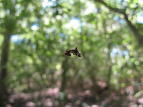 IMG_4276