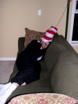 Jon, cat nappin'