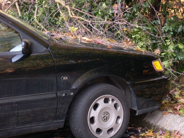 Mike's Car