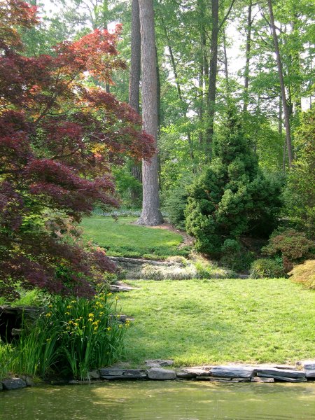 Duke Gardens 3