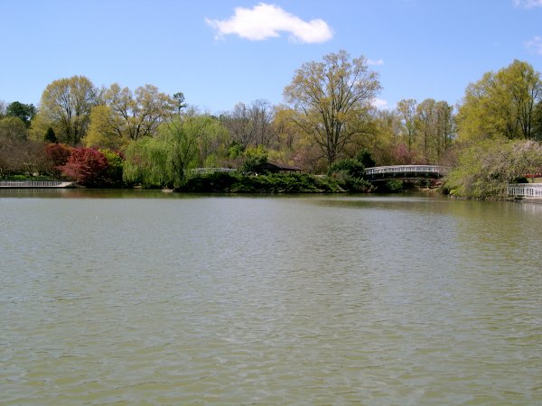 On the Paddle Boat (1)