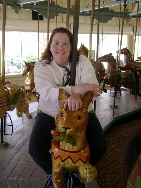 Cyn on the Carousel