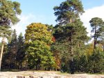 Sibelius park