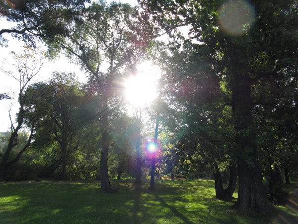 Sibelius park