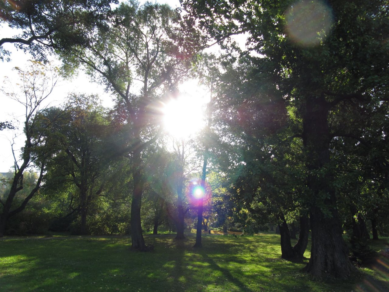 Sibelius park
