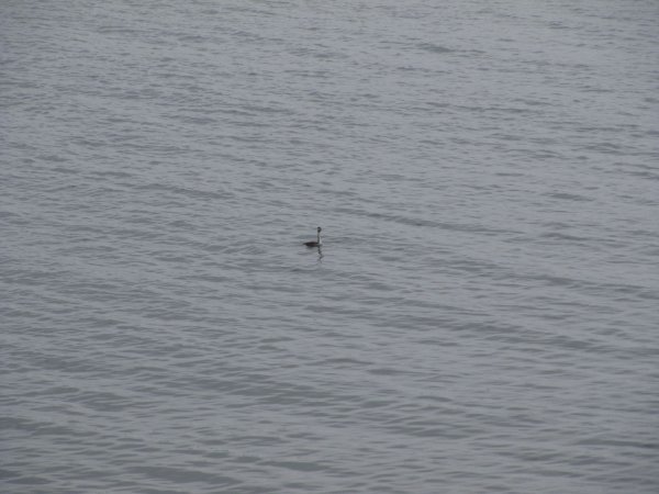 on Suomenlinna island