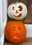 our pumpkins in daylight -- white == Cynthia, orange == Ben
