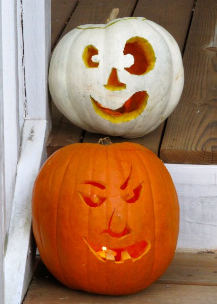 our pumpkins in daylight -- white == Cynthia, orange == Ben