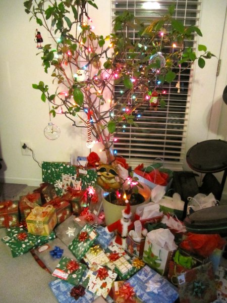 Our Christmas Tree