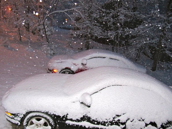 Cars under a blanket of snow