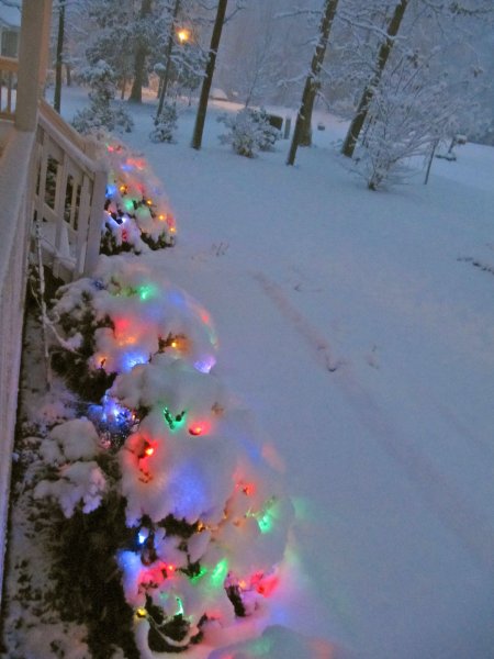 Christmas lights under the snow