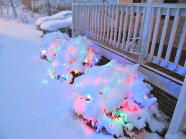those LEDs are bright even when covered in snow