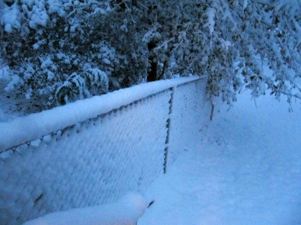 Snow caught in a chain link fence.