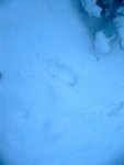 My footprints