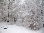 Backyard and fire bowl covered in snow