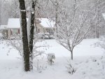 More snow in the front yard