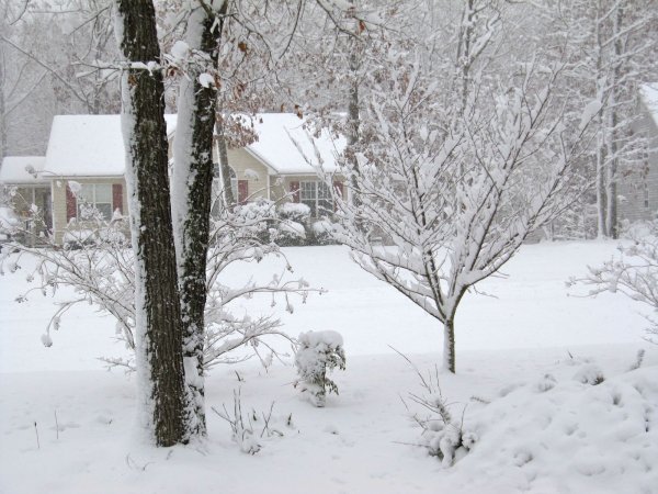 More snow in the front yard
