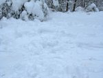 legless snow angel (it's there, really)