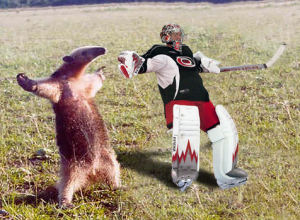 Puck You! Cam Ward is an ANTEATER!