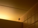 Willy - Our Roommate
