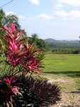 Beautiful Countryside