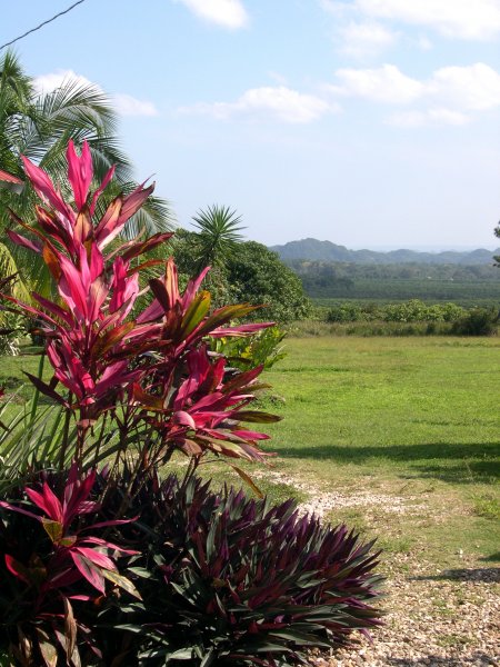 Beautiful Countryside