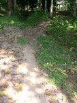 Ant Hiway