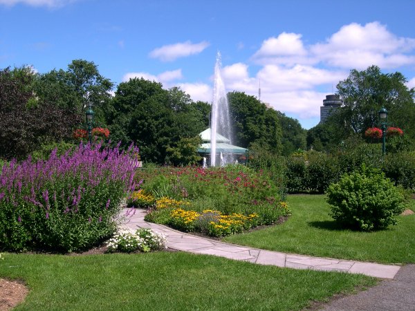 DSCN1051.JPG