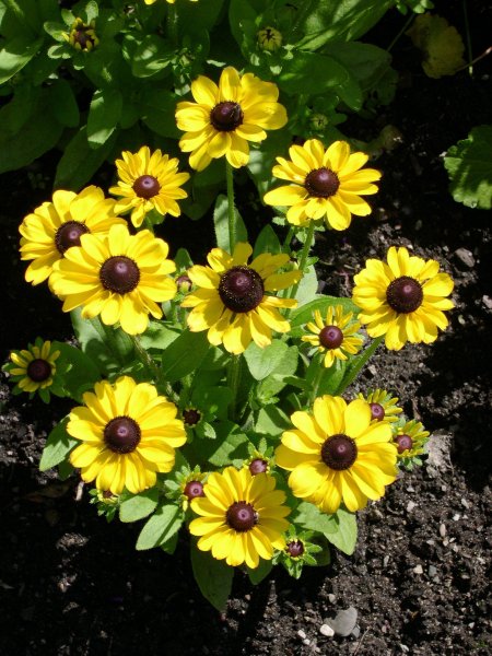 DSCN1053.JPG