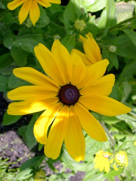 DSCN1057.JPG