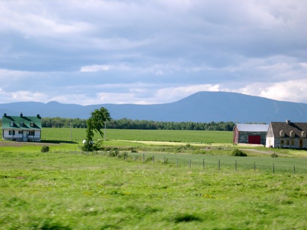 DSCN1136.JPG