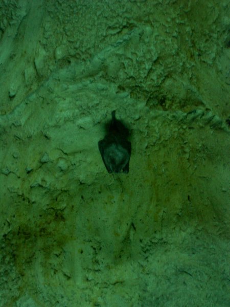 DSCN1175.JPG