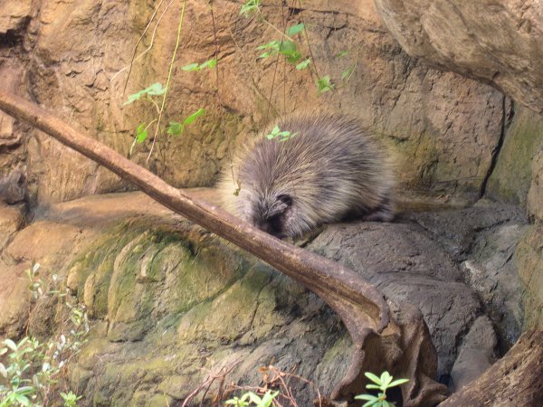 DSCN1188.JPG
