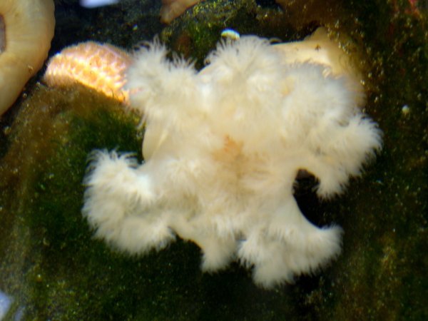 DSCN1202.JPG