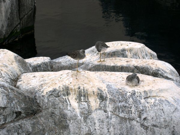 DSCN1203.JPG