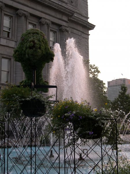 DSCN1345.JPG