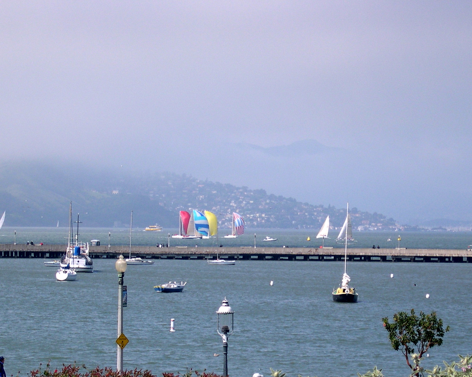 Tons of Sailboats in the Harbor