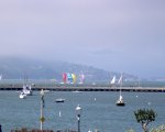 Tons of Sailboats in the Harbor