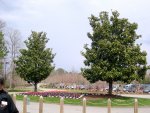 Busch Gardens (March 2004)