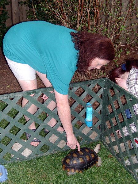 Cynthia "Petting" a Turtle