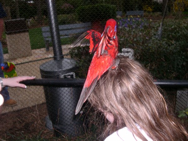 Aaah!  Get it off me!  Get it off me!