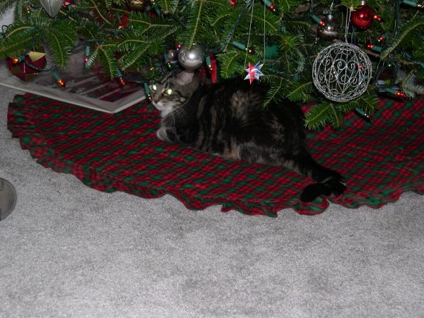 Awwww, Squeak under the tree