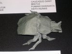 Caucasus Giant Beetle by Keith Nunas (Fumiaki Kawahata model)