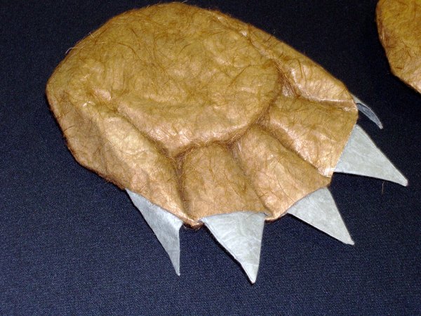 bear claw